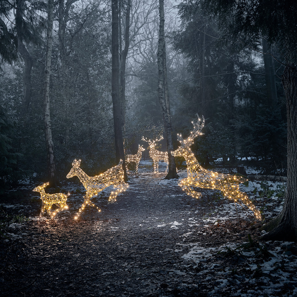 Fünf beleuchtete LED-Rentiere in Rattanoptik stehen auf einem verschneiten Waldweg bei Dämmerung