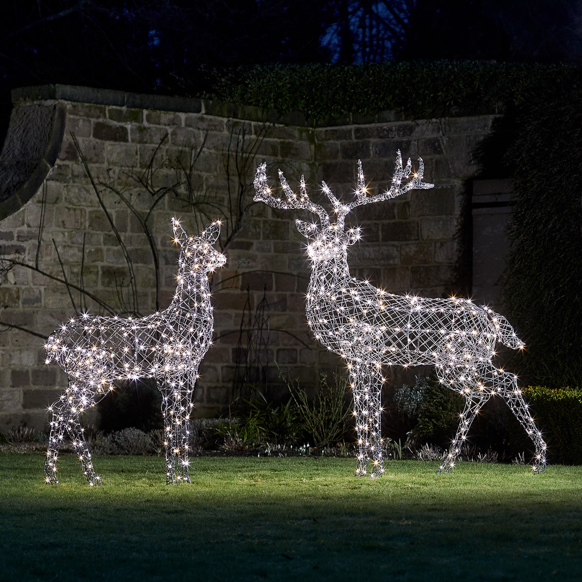 LED-Rentiere mit weiß leuchtenden Lichtern vor einer Steinmauer im Garten bei Nacht