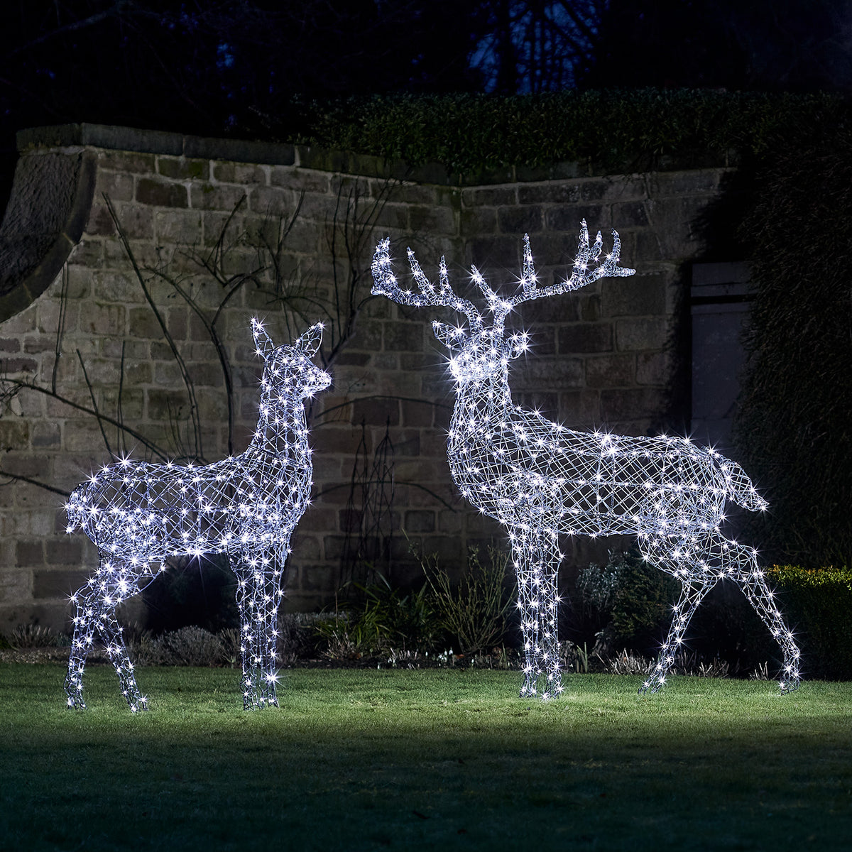 LED-Rentierpaar mit weiß leuchtenden Lichtern vor einer Steinmauer im Garten bei Nacht