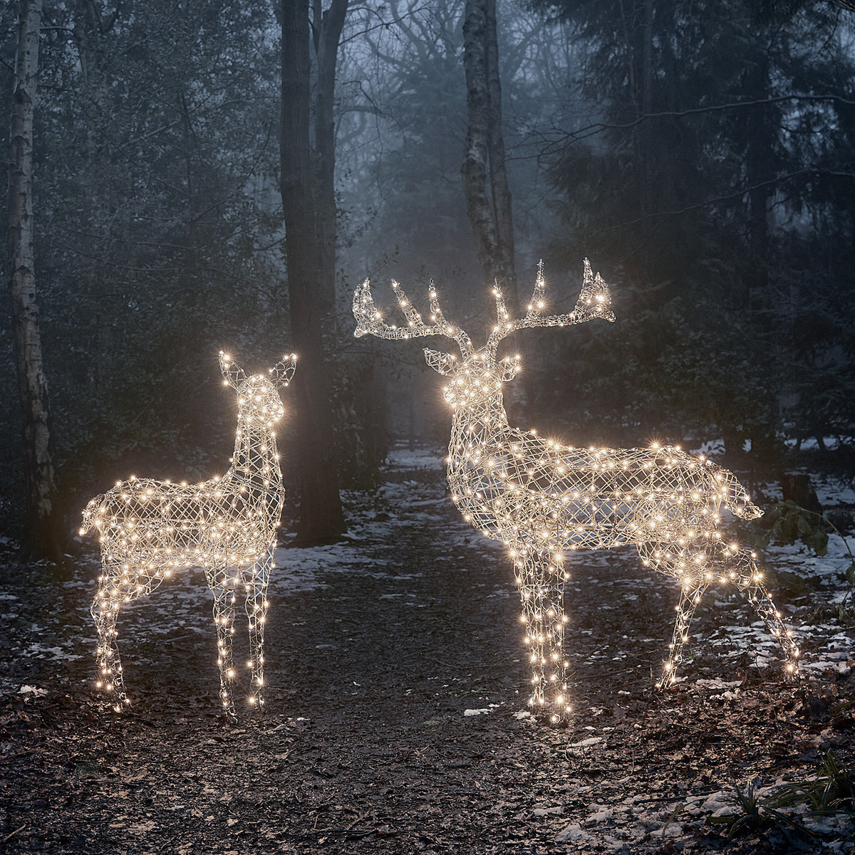 Zwei große LED Rentierfiguren mit warmweiß leuchtenden Lichtern im Wald bei Dämmerung