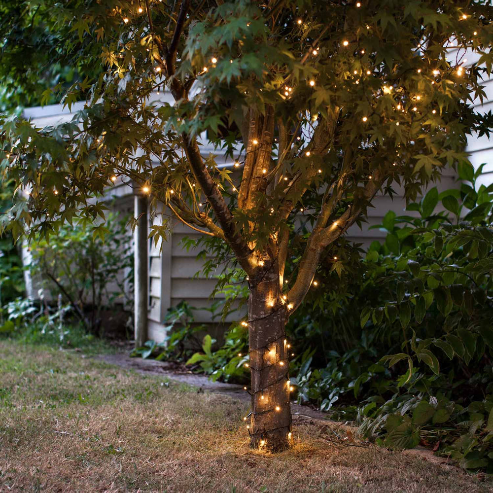 Baum im Garten mit warmweißer LED-Lichterkette auf grünem Kabel umwickelt