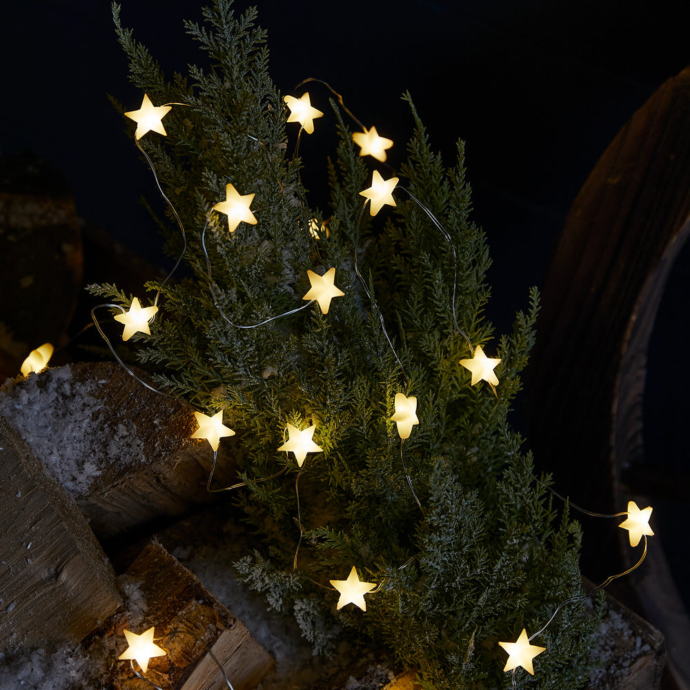 Warmweiße LED Lichterkette mit kleinen Sternen aus Gummi um einen grünen Busch gewickelt bei Nacht