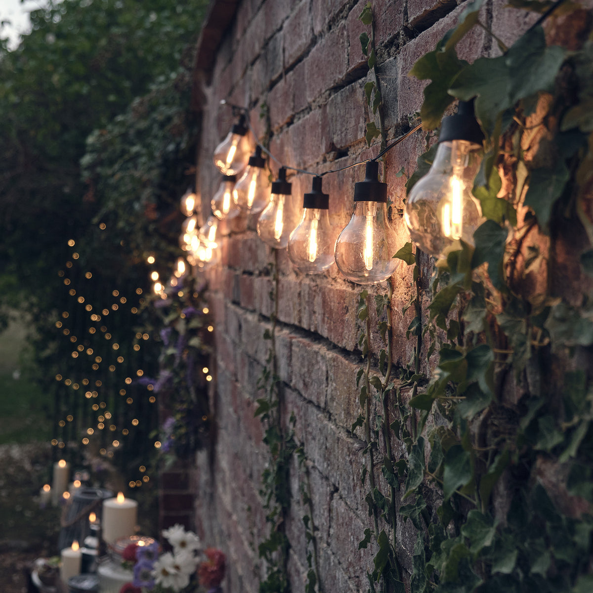 Lichterkette mit 20 warmweißen LED-Glühbirnen an einer mit Efeu bewachsenen Backsteinmauer