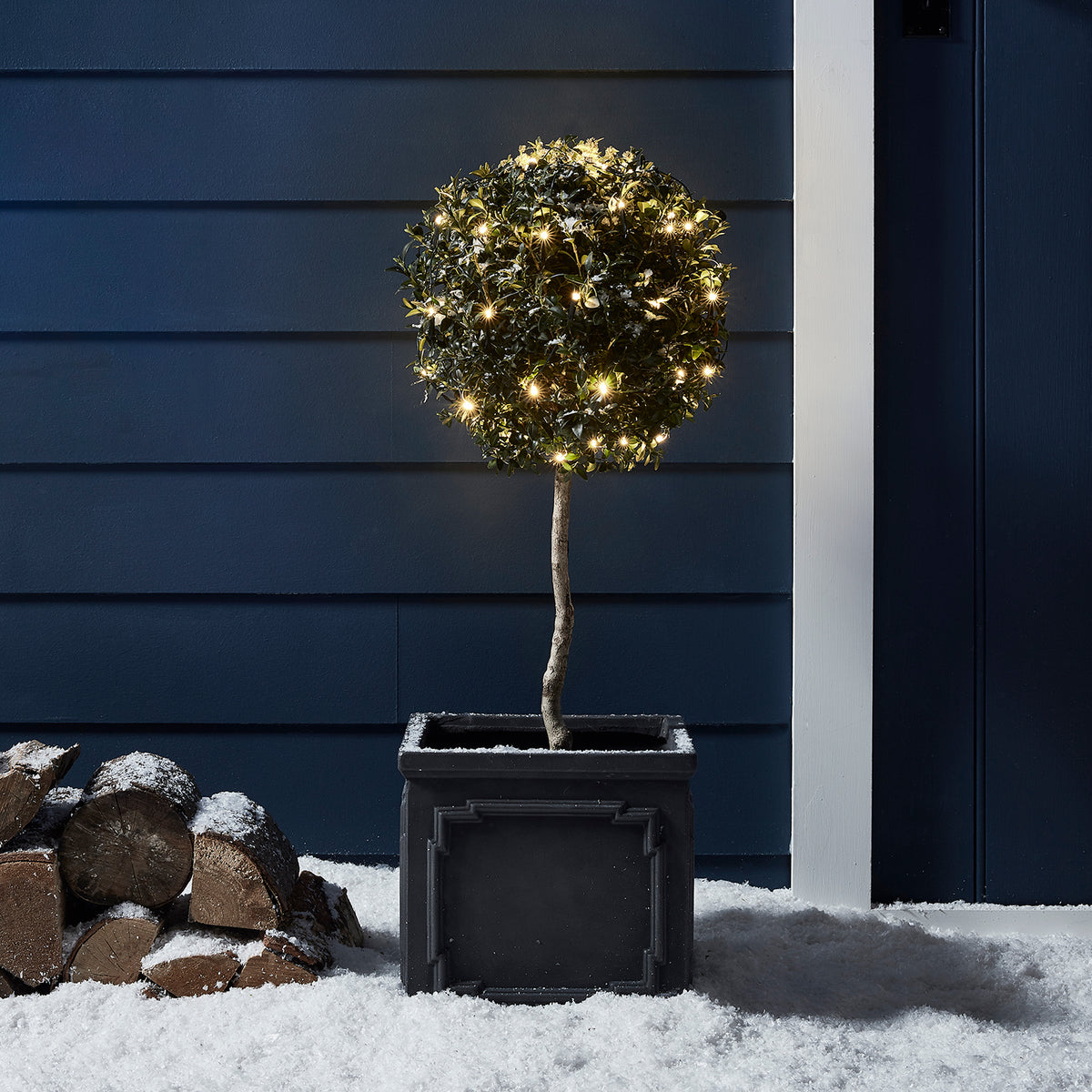 Kugelbaum mit warmweißen LED-Lichtern im schwarzen Topf vor blauer Wand und Schnee