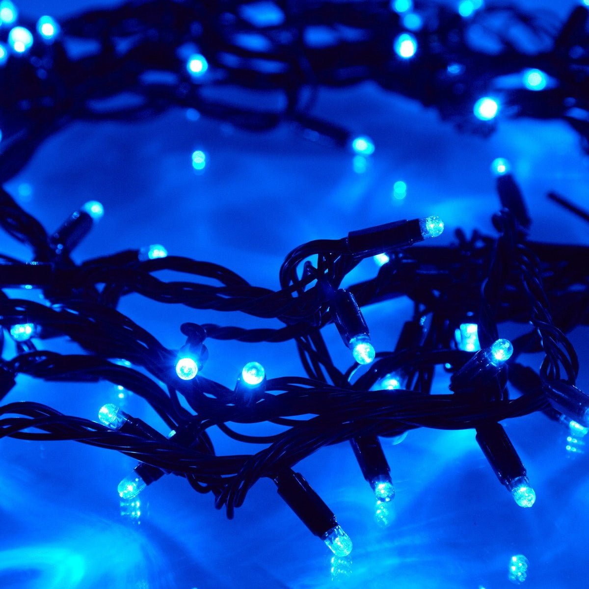 Nahaufnahme von blauen LED Lichtern an grünem Kabel einer Lichterkette