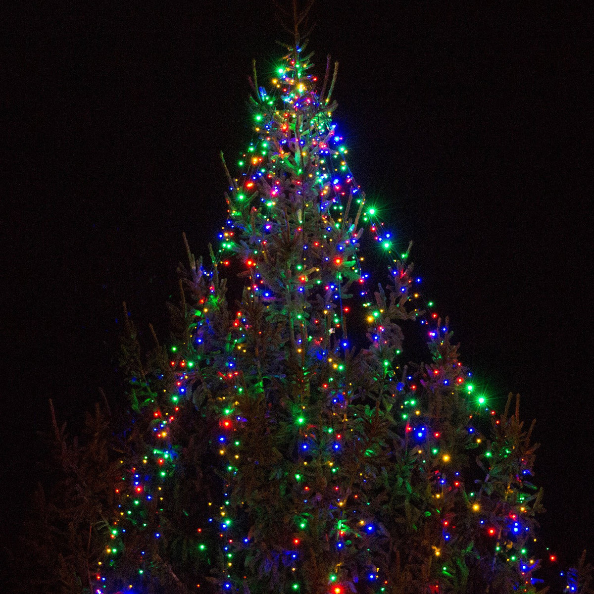 Weihnachtsbaum mit bunter LED-Lichterkette leuchtet nachts vor dunklem Himmel