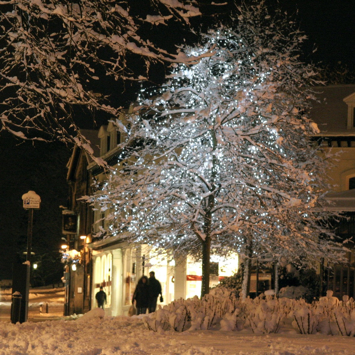 Schneebedeckter Baum mit weißen LED-Lichterketten in einer winterlichen Straße bei Nacht