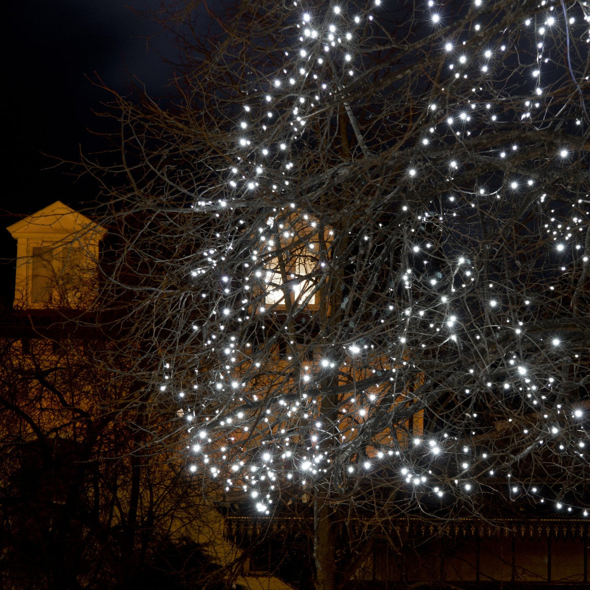 Weiße LED-Lichterketten schmücken Baumzweige in der Nacht vor beleuchteten Häusern