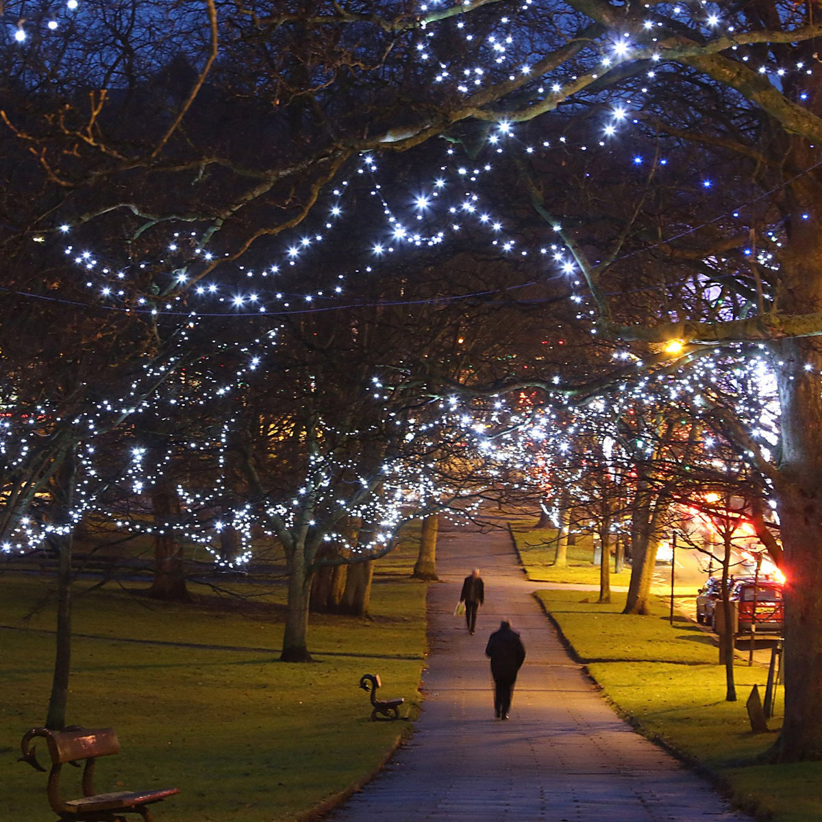 Beleuchtete Bäume mit weißen LED Lichterketten in einem Park bei Nacht