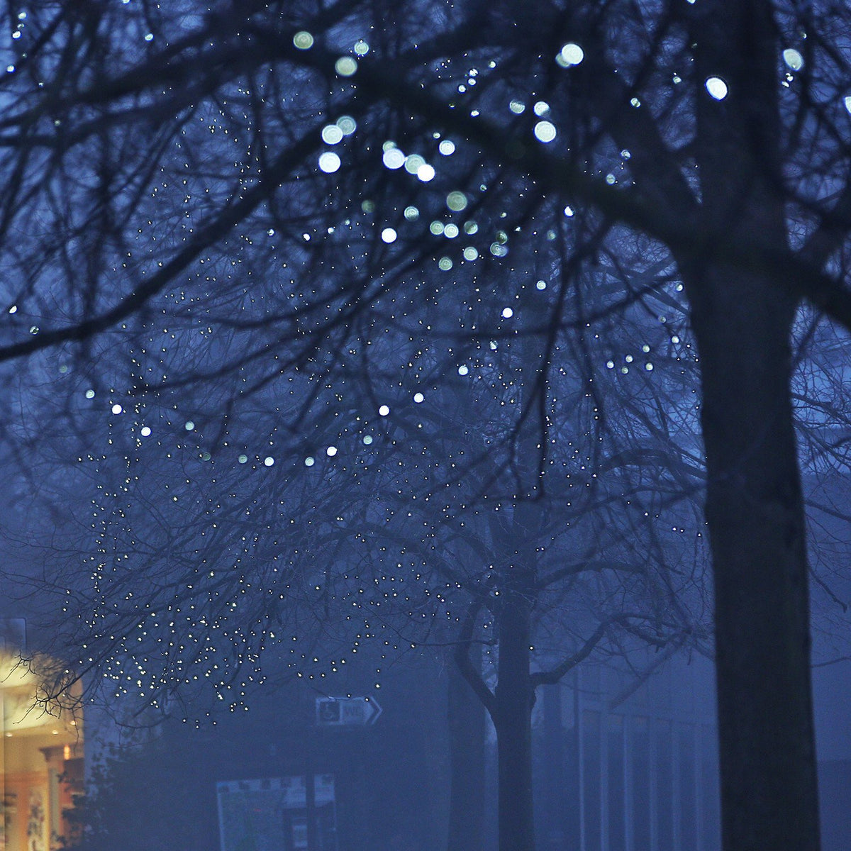 Baum mit weißen LED Lichtern in der Dämmerung, unscharfe Lichter im Hintergrund