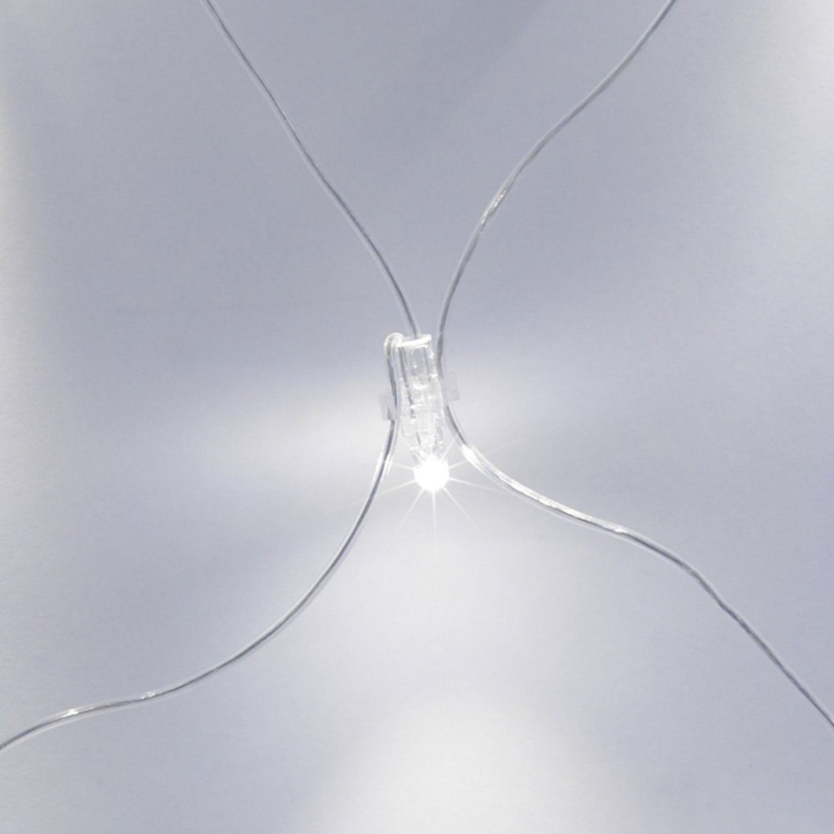 LED-Lichternetz mit transparenten Kabeln und weißen Lichtern in Nahaufnahme