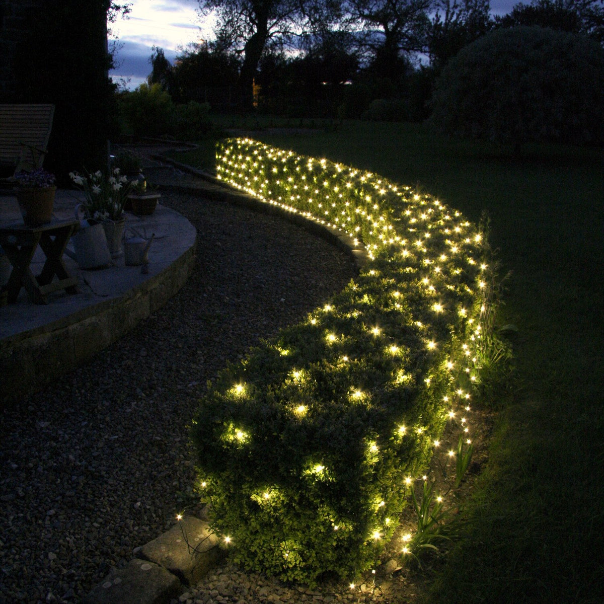 Lichternetz mit warmweißen LEDs beleuchtet eine Hecke im Garten bei Dämmerung