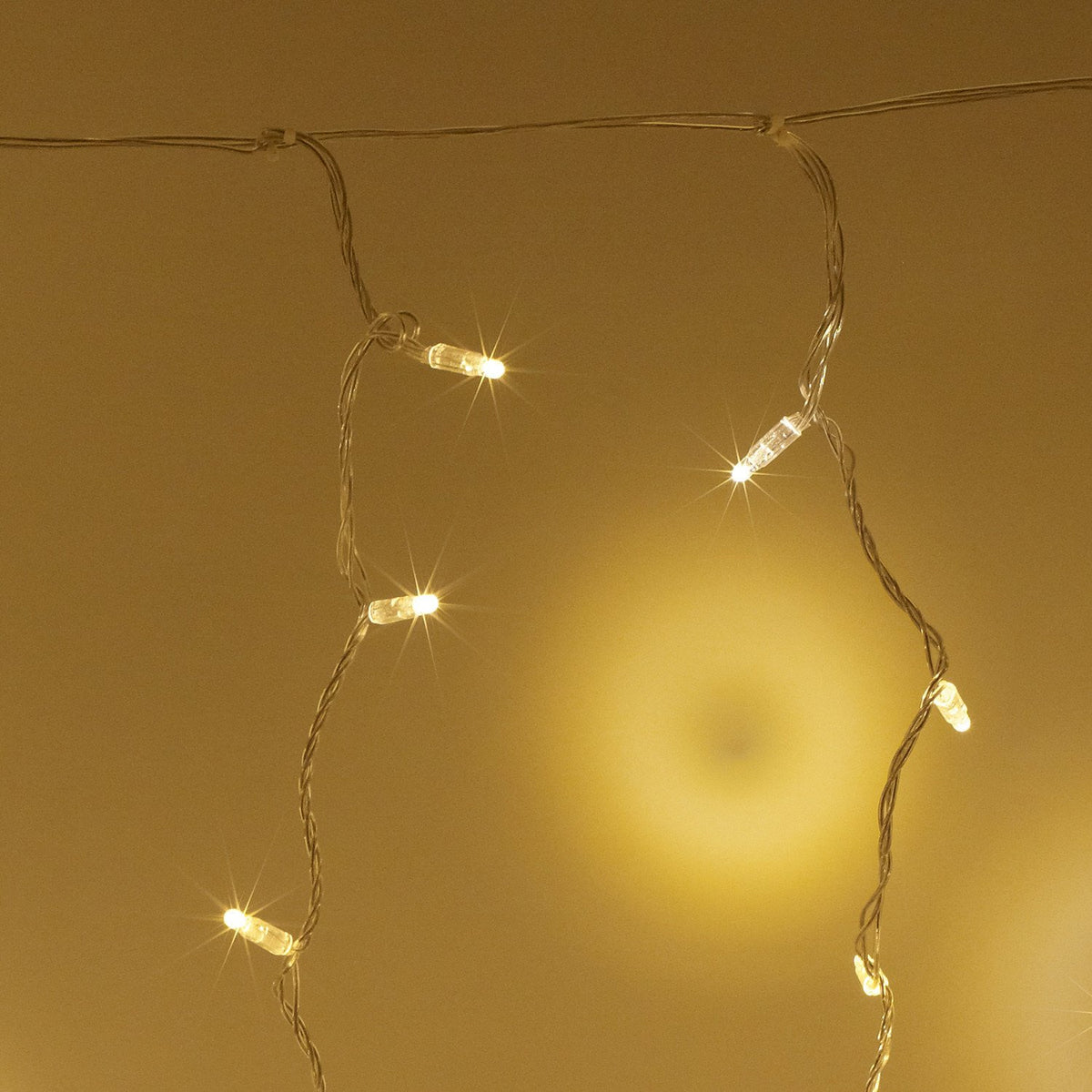 Detailaufnahme einzelner warmweißer LED-Lichter an transparentem Kabel